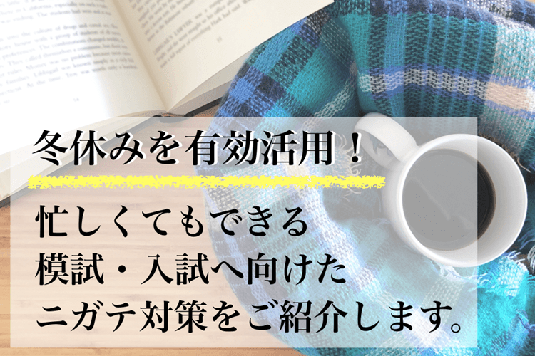 図版１.png
